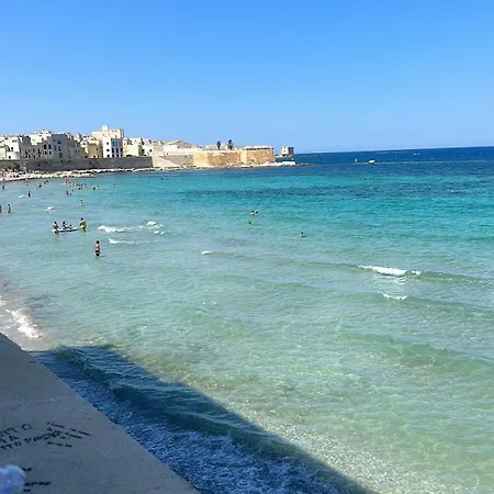 Spalti 37 Trapani